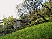 CANTO ALTO anello in direttissima da Zogno-Corna (25apr21)  - FOTOGALLERY